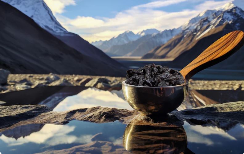 Shilajit’s Ancient Secrets: A Wellness Revolution in the UK